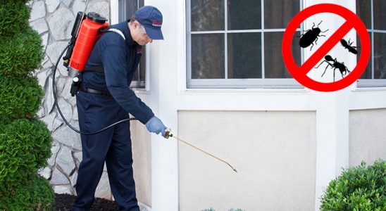 Beykoz Kemirgen İlaçlama böcek ilaçlama ve haşere kontrolü — ilaclama-tr.com